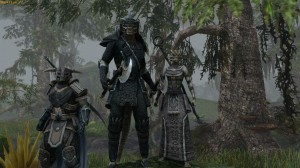 скриншот The Elder Scrolls Online PS4 #8
