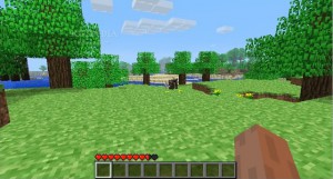 скриншот Minecraft PS Vita #2