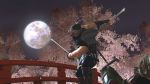 скриншот Ninja Gaiden Sigma 2 PS3 #3