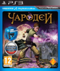 игра Чародей Move PS3
