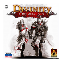 игра Divinity: Original Sin