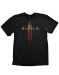 Футболка Diablo 3 Logo (L) (416)