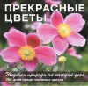 Книга Прекрасные цветы. Шедевры природы на каждый день
