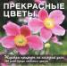 Книга Прекрасные цветы. Шедевры природы на каждый день
