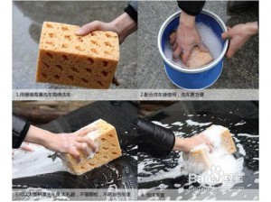 фото Коралловая губка для больших поверхностей #3