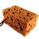 фото Коралловая губка для больших поверхностей #7