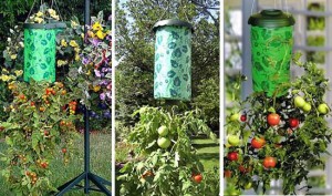 фото Приспособление для выращивания культур 'Плантация' #2