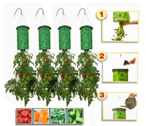 фото Приспособление для выращивания культур 'Плантация' #4