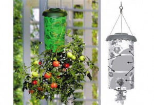 фото Приспособление для выращивания культур 'Плантация' #6