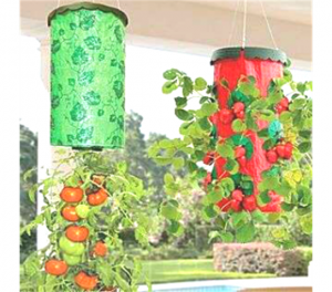 фото Приспособление для выращивания культур 'Плантация' #7