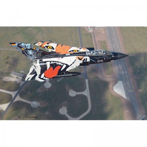 Самолет (1979г.) Tornado Black Panther