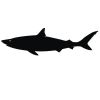 Подарок Интерьерная наклейка для мела Акула Шура большая