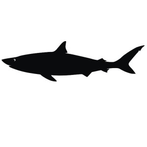 Подарок Интерьерная наклейка для мела Акула Шура большая