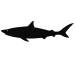 Подарок Интерьерная наклейка для мела Акула Шура большая