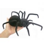фото Паук черная вдова Black Widow Spider на пульте управления #2