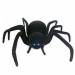 фото Паук черная вдова Black Widow Spider на пульте управления #4