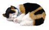 Подарок Дышащая игрушка Пятнистый котёнок Perfect Petzzz