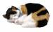 Подарок Дышащая игрушка Пятнистый котёнок Perfect Petzzz
