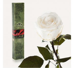 фото Долгосвежая роза Белый Бриллиант в подарочной упаковке #2