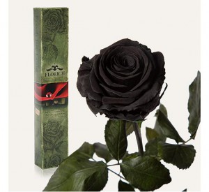 фото Долгосвежая роза Черный Бриллиант в подарочной упаковке #3