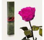 фото Долгосвежая роза Малиновый Родолит в подарочной упаковке #5