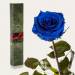 фото Долгосвежая роза Синий Сапфир в подарочной упаковке #2