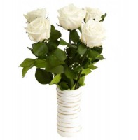 Подарок Три долгосвежих розы 'Белый Бриллиант'