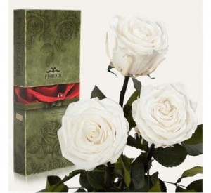 Подарок Три долгосвежие розы Белый Бриллиант в подарочной упаковке