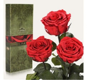 Подарок Три долгосвежих розы Алый Рубин в подарочной упаковке