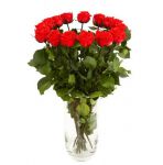 фото Три долгосвежих розы Алый Рубин в подарочной упаковке #4
