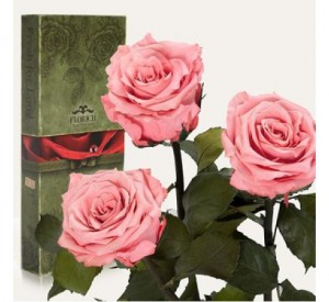 Подарок Три долгосвежих розы Розовый Кварц в подарочной упаковке