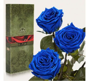 Подарок Три долгосвежих розы Синий Сапфир в подарочной упаковке