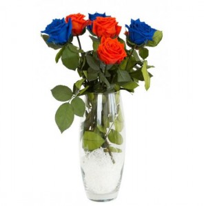 фото Долгосвежая роза 'Синий Сапфир' #2