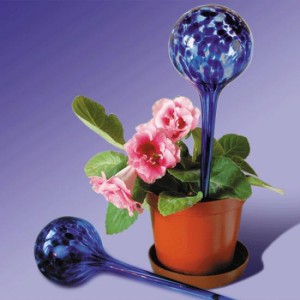 фото Шары для растений Аква Глоб (Aqua Globes) #2