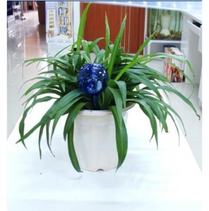фото Шары для растений Аква Глоб (Aqua Globes) #4
