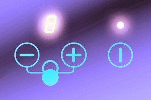 фото Индукционная плита двойная Steba IK 200 #2