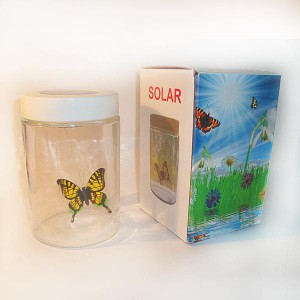 фото Бабочка в банке на солнечной батарее #2