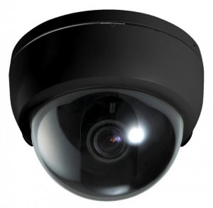 Подарок Видеокамера шар – обманка Security Camera