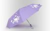 Подарок Зонт антишторм меняющий цвет Цветы
