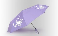 Подарок Зонт антишторм меняющий цвет Цветы