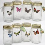 фото Бабочка в банке на солнечной батарее #3