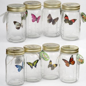 фото Бабочка в банке на солнечной батарее #3