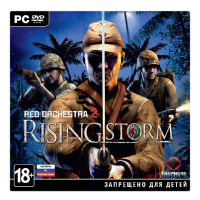 игра Red Orchestra 2: Rising Storm