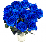 фото Долгосвежая роза 'Синий Сапфир' #4