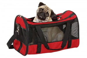 фото Сумка переноска для животных Divina Big Karlie #2