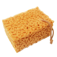Подарок Коралловая губка для больших поверхностей