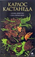 Книга Огонь изнутри. Сила безмолвия
