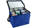 Подарок Термосумка на 10л Therma Tote