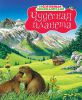 Книга Чудесная планета
