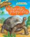 Книга Животные-рекордсмены